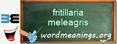 WordMeaning blackboard for fritillaria meleagris
